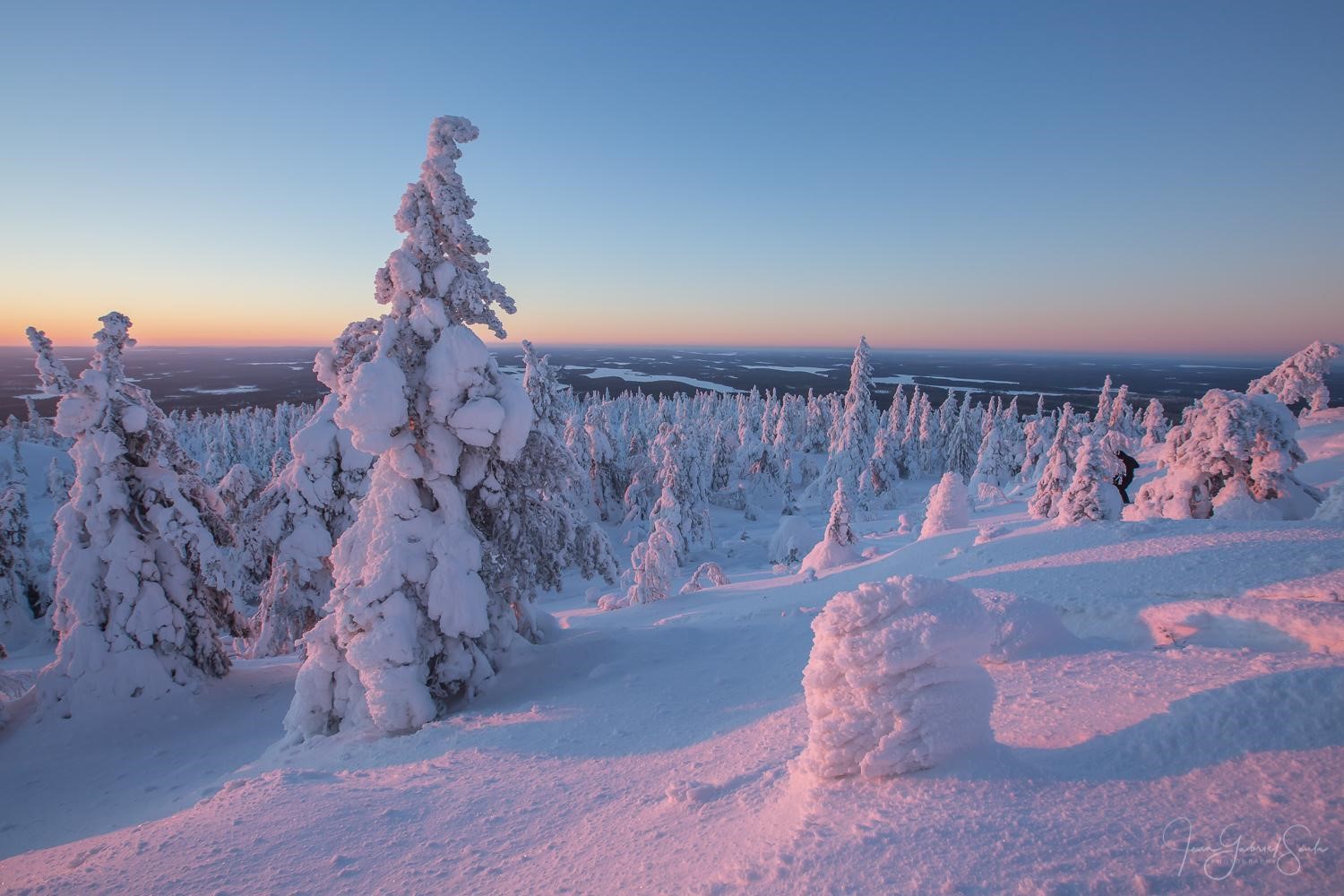 Au cœur de la Finlande : Une immersion dans les forêts et les lacs cristallins