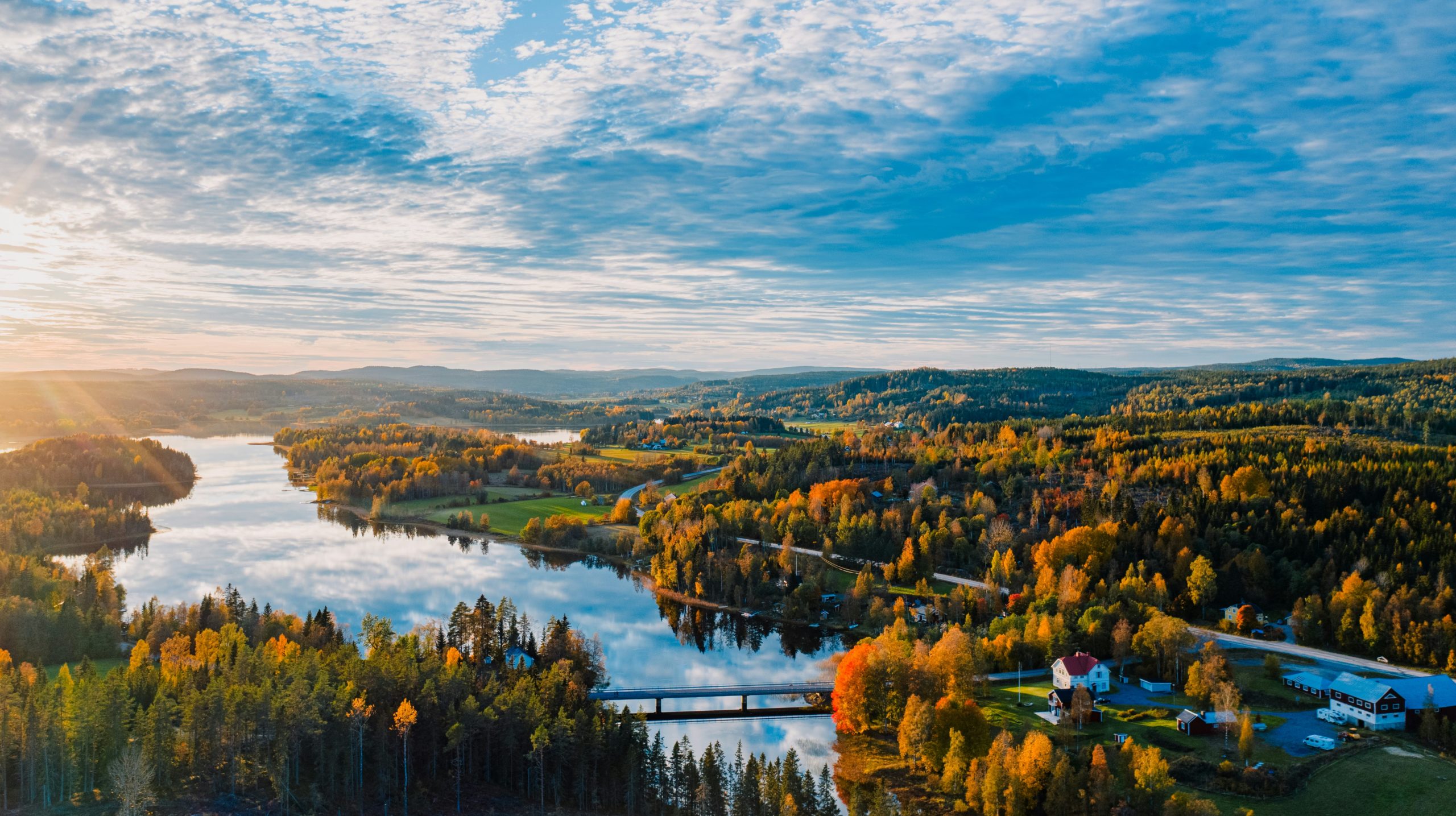 Entre forêts et lacs, un périple à travers l’âme sauvage de la Suède